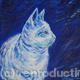 Cat portrait -Misty…