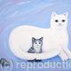 Kitty Cat Cuddle time!…