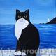 Cat portrait - Jellicle…