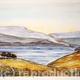 Lakeland Scene