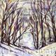 Snowy Path, Woodbank…