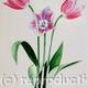 Red Tulips