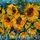 Sun Flower Burst
