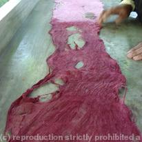 Dyeing Sa Paper