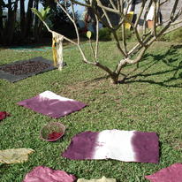Sa Paper Drying