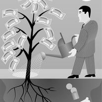 Money tree