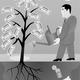 Money tree