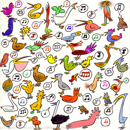 40 Birds