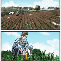 Lidl storyboard
