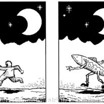 Fish Wish 26