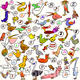 40 Birds