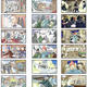 Coors Light storyboard