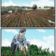 Lidl storyboard