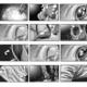 Horse storyboard 1