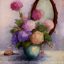Hydrangeas 