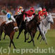 The Finish