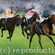 The Last Furlong