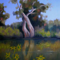 Eucalyptus on Yarkon River - oil painting (landscape) 