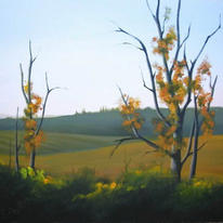 Fields on sunset - oil painting (landscape)