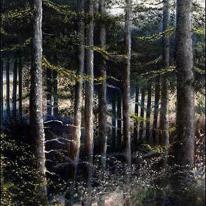 Forest, Les Ardennes - oil painting (landscape)