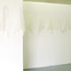 Untitled (Trophy Wall)