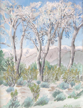 Winter Cottonwoods