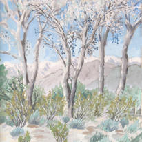 Winter Cottonwoods