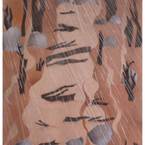 Mountain Rain 
