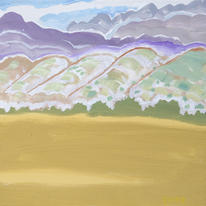 Desert Shadow