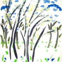 pussy willow