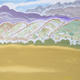 Desert Shadow