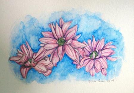 Pink Daisy