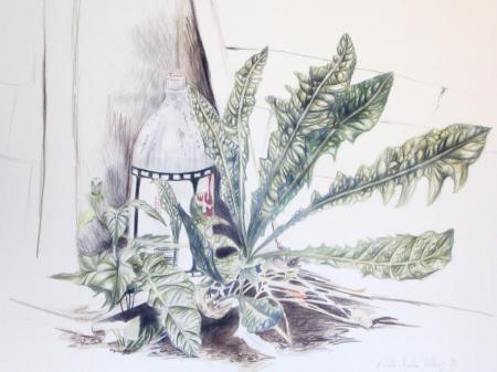 Garden Junk