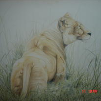 Lioness