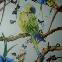 Colours
