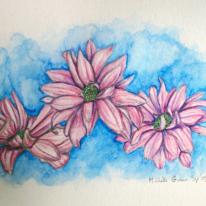 Pink Daisy