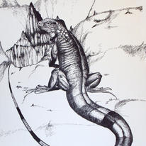 Lizard
