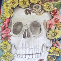 Still Life
