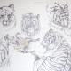Felines