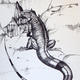Lizard