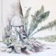 Garden Junk | £150 | | Colour Pencil on paper Garden Junk