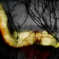 Cuerpo desnudo/ Pavement cracks