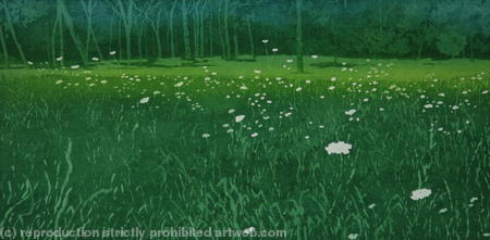 The edge of the woods