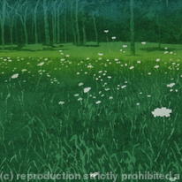 The edge of the woods
