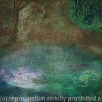 Dewpond sunlight