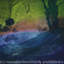 Dewpond sunshadow