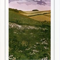 Chanctonbury meadows