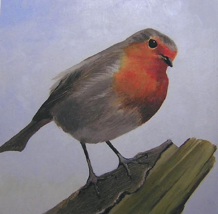 Robin