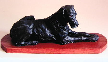 Great Dane, Dorcas