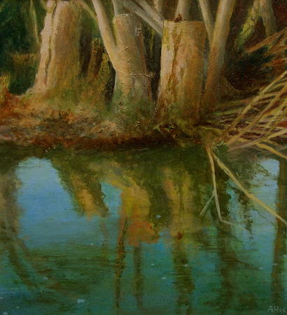 Wren reflecting